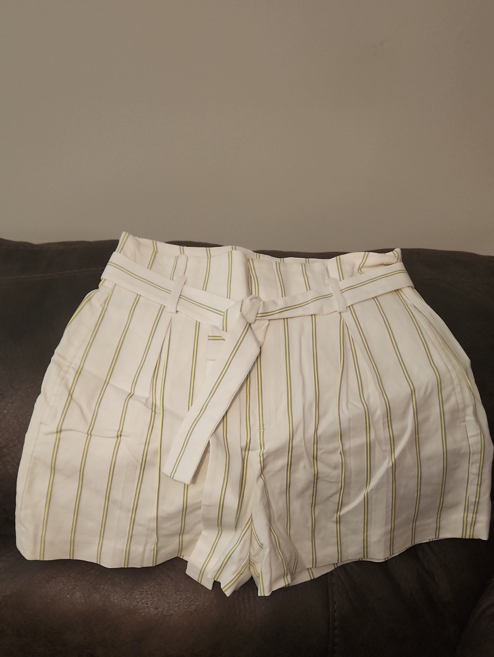 Banana Republic White High-Waist Stripe Paperbag Shorts with Olive Stripes